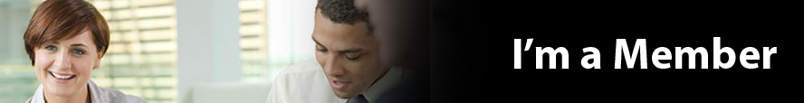 header graphic