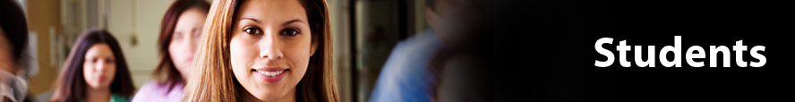 header graphic