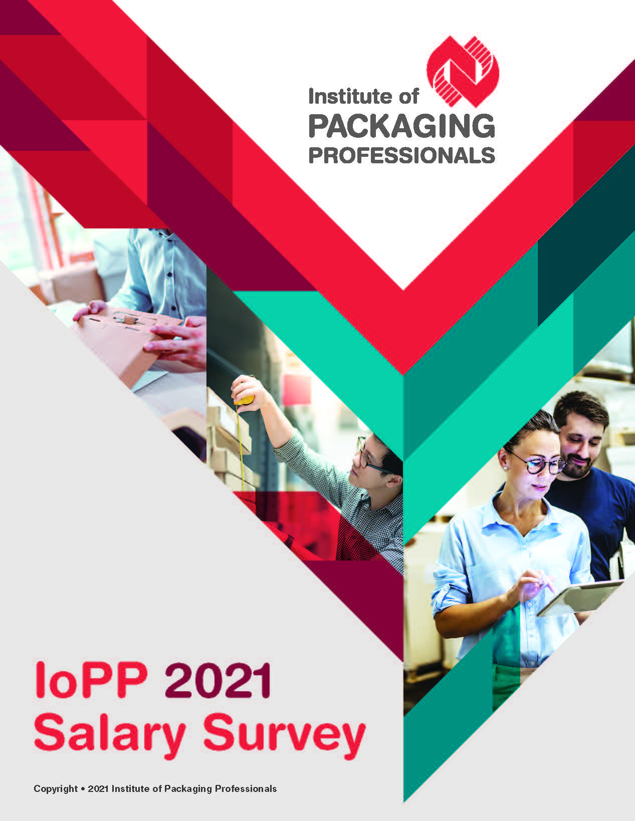 2021 IoPP Salary Survey