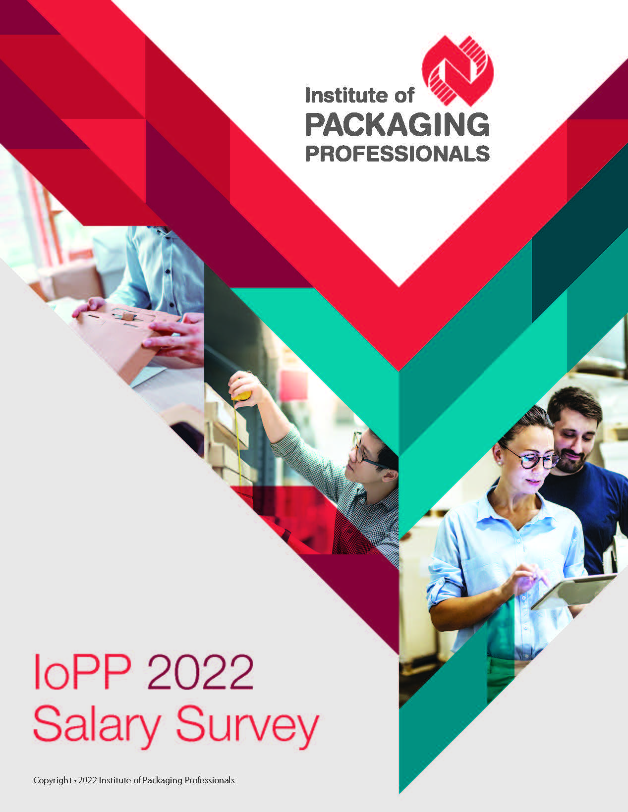 2022 IoPP Salary Survey